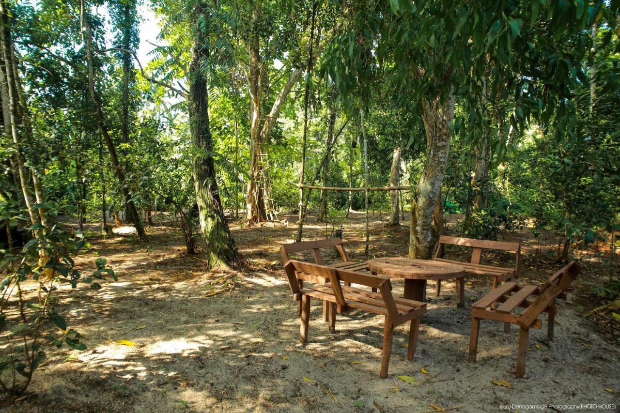 Jungle Paradise Galle Exterior foto