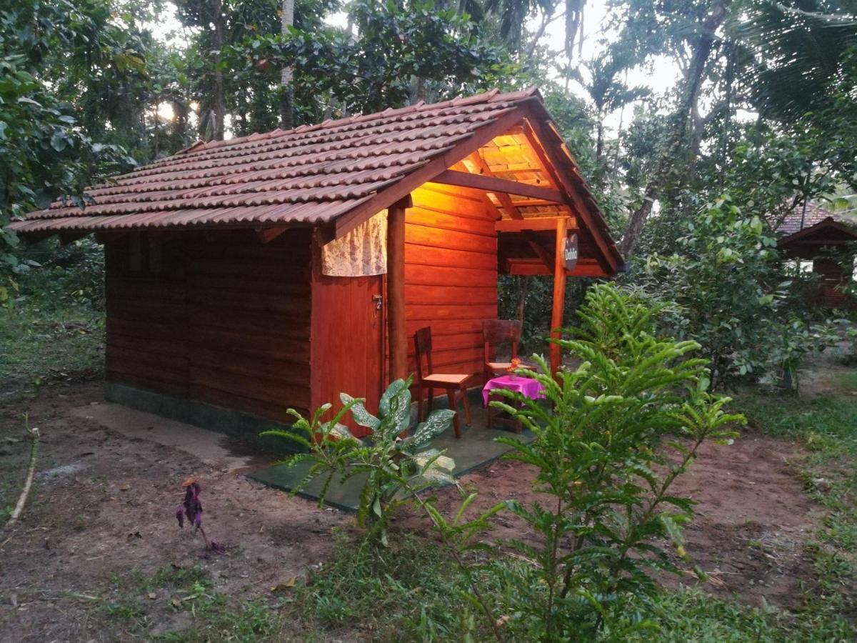 Jungle Paradise Galle Exterior foto