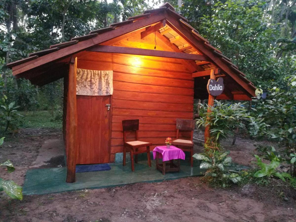 Jungle Paradise Galle Exterior foto
